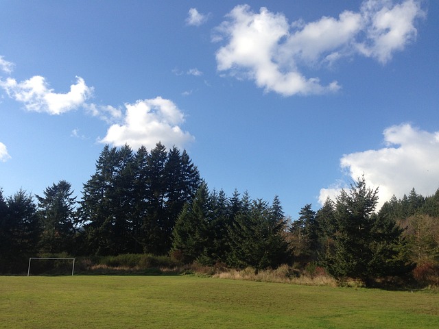 从心理学层