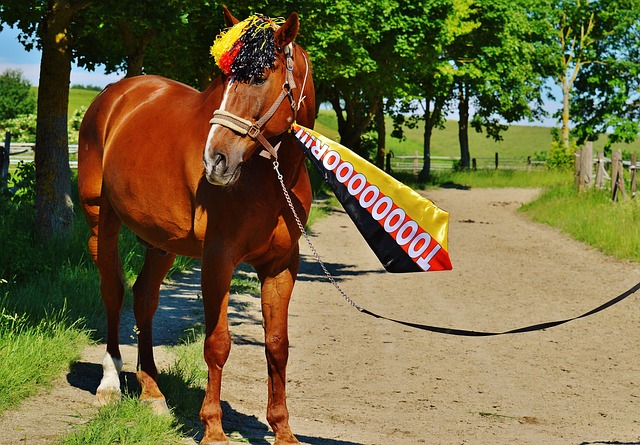 国脚以其卓 国脚以其卓