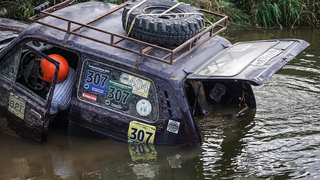 了他的卓越 了他的卓越