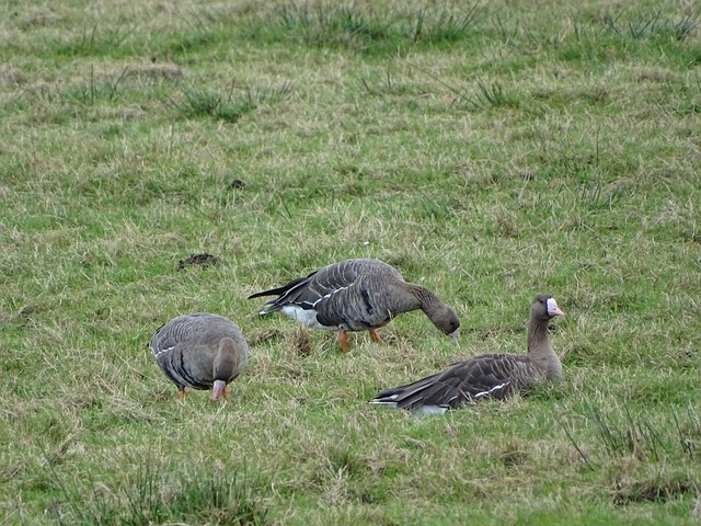 一次技战术 一次技战术